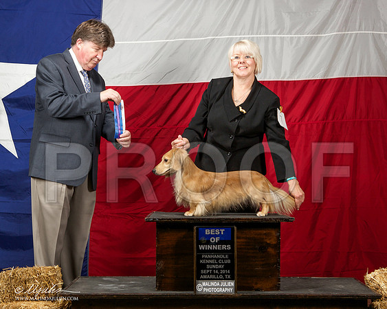 _ST_2009-AmarilloSep2014-HR3