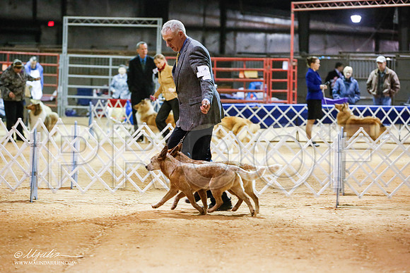 _JN_5553-2-GlenRoseJan2015-HR3