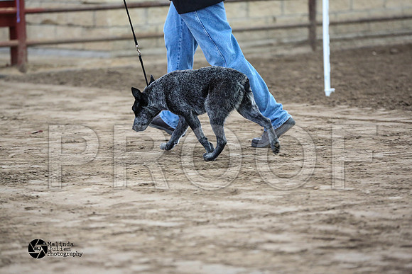 MJ2_1328-WacoFeb14-HR