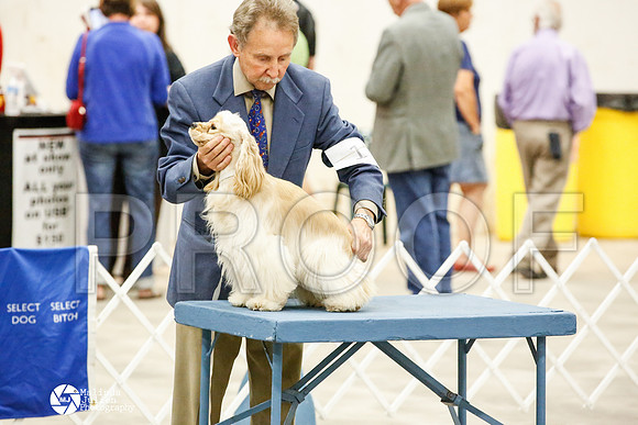 _JN_0664-AblnMay2014-web