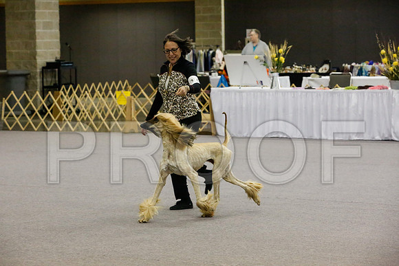 _JJ_8125-AfgBeltonOct2014-HR3