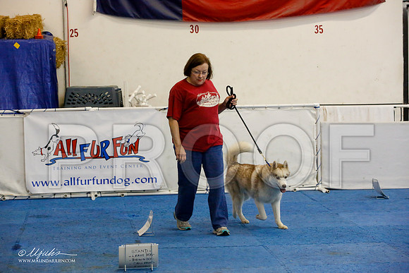 _M3_7642-AddisonHuskyMar2015-HR3