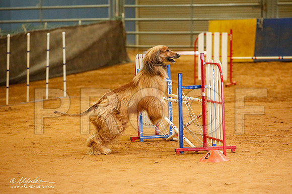 _JJ_5712-AfgBeltonOct2014-HR3