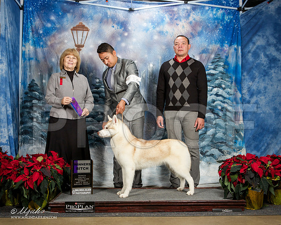 _ST_9262-DallasDec2014-HR3