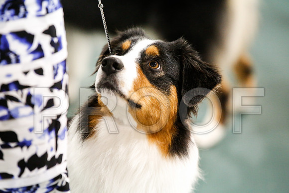 _JJ_8043-ASCACollegeStationNov2014-HR3
