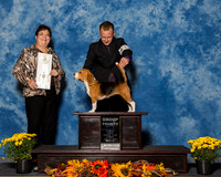 Beagles 13in #14 Sun G4 Dirksen Rebecca Jennifer Masterson Tracy Olson Agent Brooke Young Judge Mrs Pamela B Peat