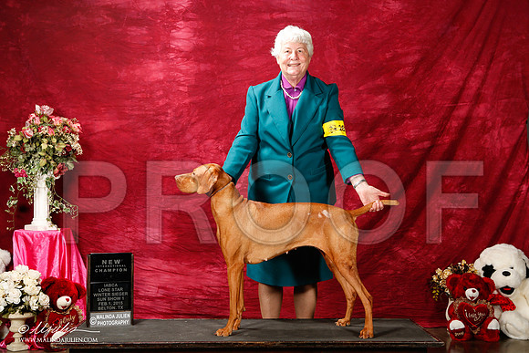 _ST_2913-2-BeltonJan2015IABCA-HR3