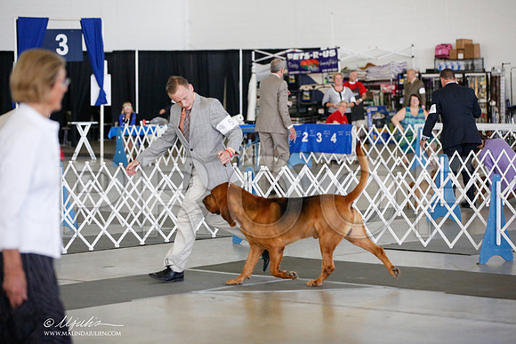 _JJ_3917-DallasJul2014-HR3