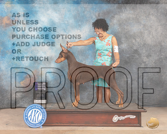 Doberman Pinscher #8 Sat WBCh Judge Eric Liebes-MMJ_3734-Abilene2022-HR3