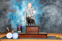 French Bulldog #9 Fri BOBOHBOB Judge Denise Dean