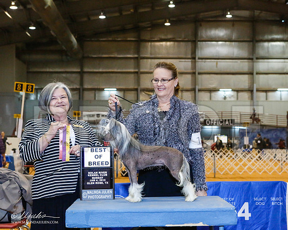 _MJ_5306-2-GlenRoseJan2015-HR3