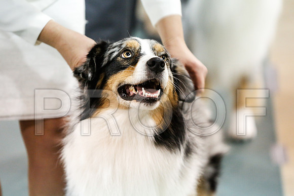 _RH_2929-ASCACollegeStationNov2014-HR3