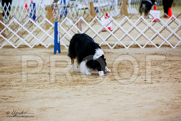 _JJ_7867-ASCACollegeStationNov2014-HR3