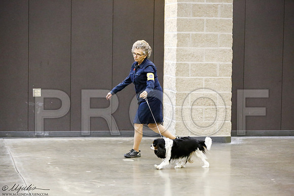 _J3L0221-BeltSep2014-HR