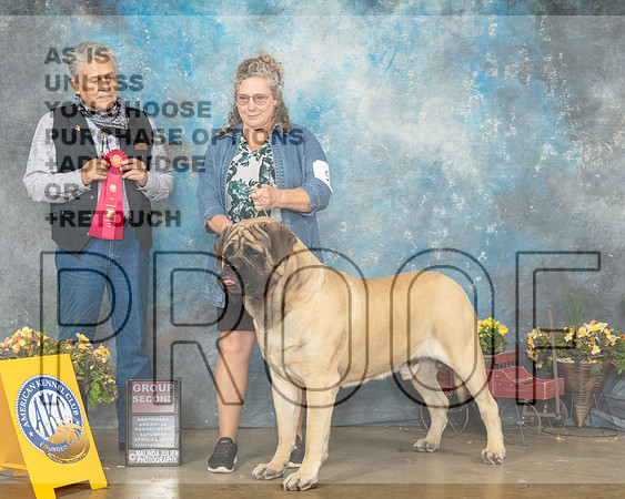Mastiff #5 Sat G2 Judge John Ramirez-MMJ_0970-NWARK2022-HR3