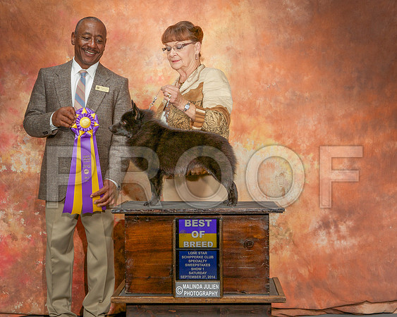 _ST_2373-CarlrolltonSept2014-HR3