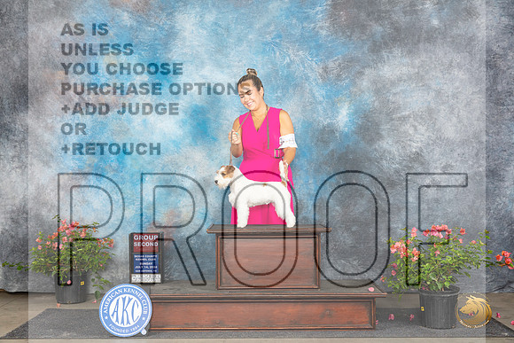 Russell Terrier #6 Sun G2 Judge Elizabeth ‘Beth’ Sweigart__JP_6229_San Antonio_2024_HR3
