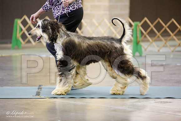 _JN_4001-BeltonJan2015-HR3