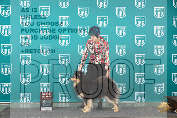 Finish Lapphund #236 Sat G2 Judge Deb Allen r__JP_2823_Premier_2024_HR3