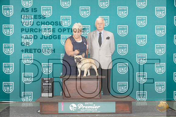 French Bulldog #829 Sun BOB Judge Deb Allen__JP_3315_Premier_2024_HR3