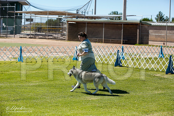 _JN_6876-AlamogordoOct2014-HR3