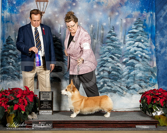 _ST_9080-DallasDec2014-HR3