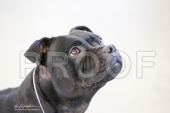 _JJ_7366-DallasJul2014-HR3