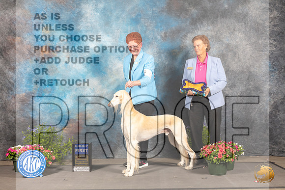 Saluki #5 Thur G1 Judge Anne Bolus_MJ_0024_SA_2022_HR3