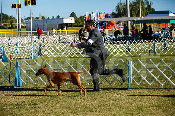 _JJ_2123-AlamogordoOct2014-HR3