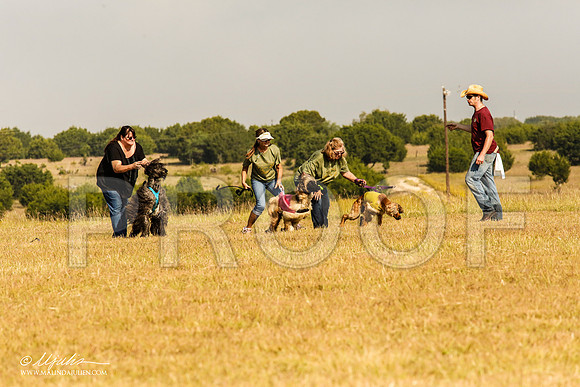 _MJ_3988-AfgBeltonOct2014-HR3
