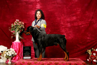 Rottweiler Elsa Moncivais sat S1 New ch