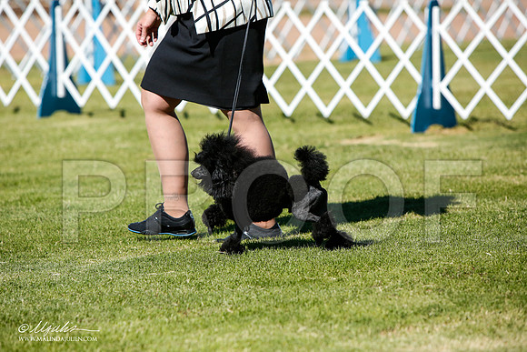 _JJ_4639-AlamogordoOct2014-HR3
