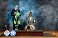 Pekingese #17 Fri BIS Judge Tim Robbins