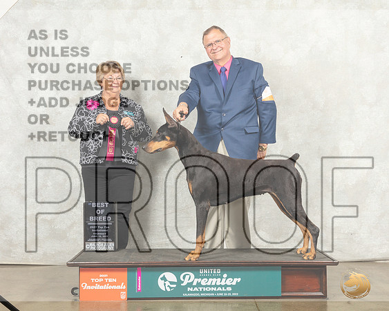 Doberman Pinscher #772 Thur Top10BOB Judge Mary Ellen Meyer__MJ_9212_Premier_2022_HR3
