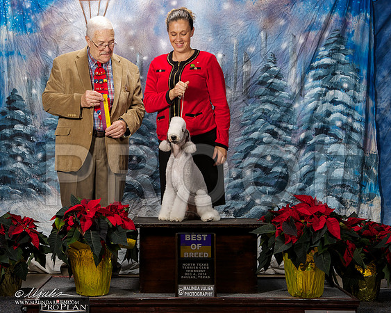 _ST_8013-DallasDec2014-HR3