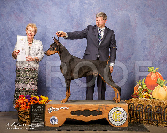 _CL_4564-SanAngelo2014-HR3