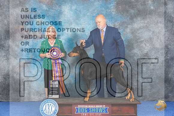 Doberman #7 WED BOB Judge Alisa Brotherhood__JP_6667_Houston_2024_HR3