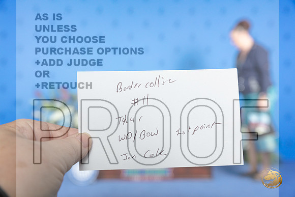Border Collie #11 THUR WD BOW Judge Jon Cole__JP_7955_Houston_2024_HR3