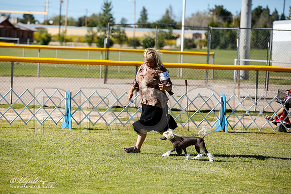 _JN_9539-AlamogordoOct2014-HR3