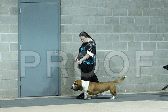 HoundGrpCCL_1503LR
