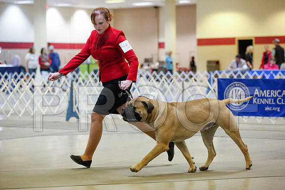 _JJ_8103-AmarilloSept2014-HR3