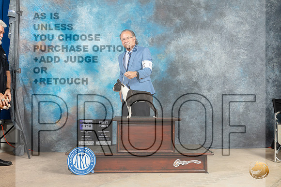 Boston Terrier #6 Fri WB Judge Thomson Stanfield-MMJ_2794-Addison2022-HR3