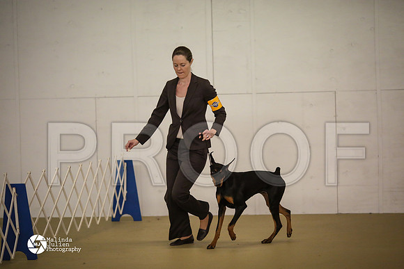 Dobe-7453-HtoJan14-HR