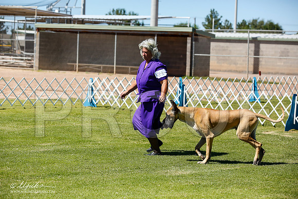 _JN_6347-AlamogordoOct2014-HR3
