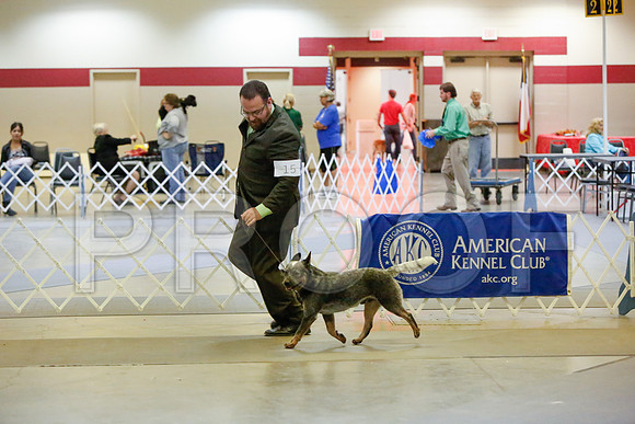 _JJ_2820-AmarilloSept2014-HR3