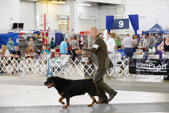 _HR_4201-DallasJul2014-HR3