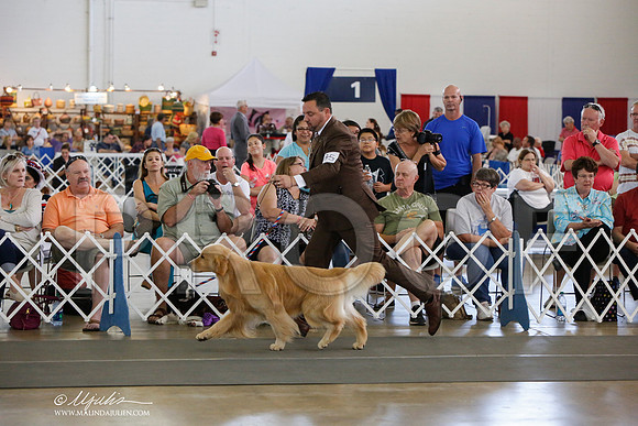 _JJ_1331-DallasJul2014-HR3