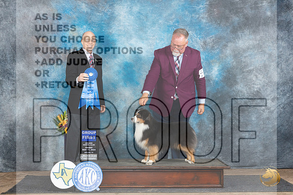 Miniature American Shepherd #11 Fri G1 Judge Larry Abbott__JP_9557_Abilene_2024_HR3