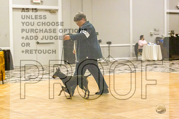 Manchester Terrier MTOY Candids-JJL_2243-Hstn2022_HR3
