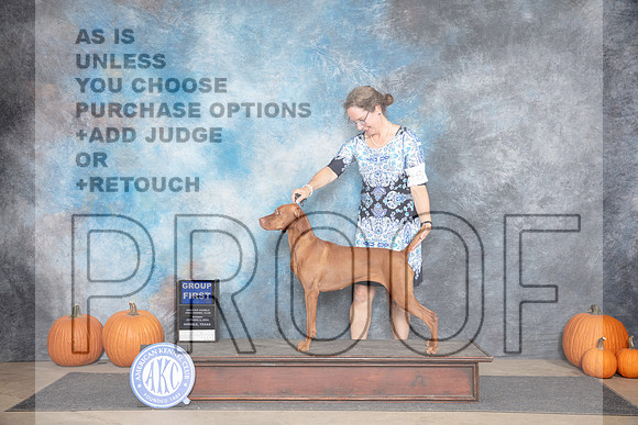 Vizsla #8 G1 Sun Judge Jan Paulk r__JP_9738_Humble_2024_HR3